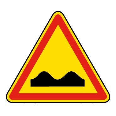 12529