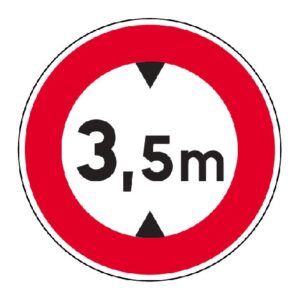 12538